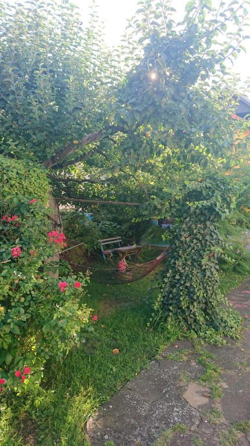 Garickina Kuca Apartment Pirot Luaran gambar