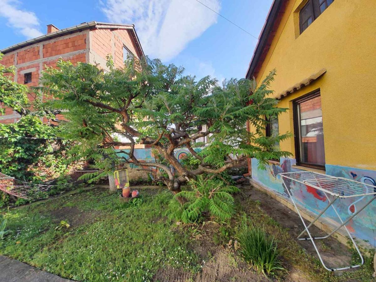 Garickina Kuca Apartment Pirot Luaran gambar