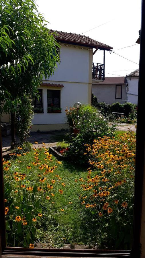 Garickina Kuca Apartment Pirot Luaran gambar