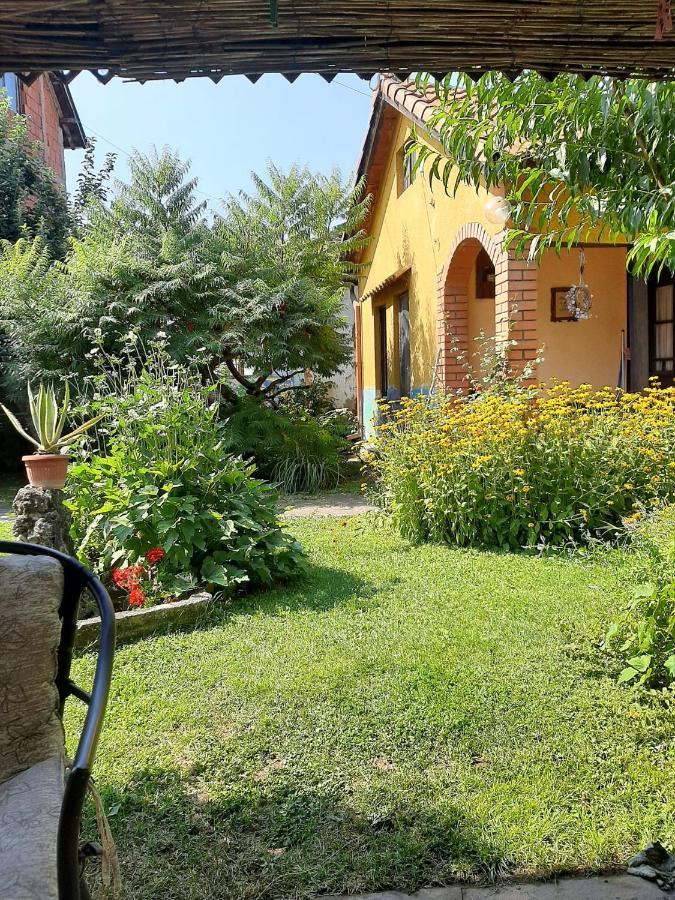Garickina Kuca Apartment Pirot Luaran gambar