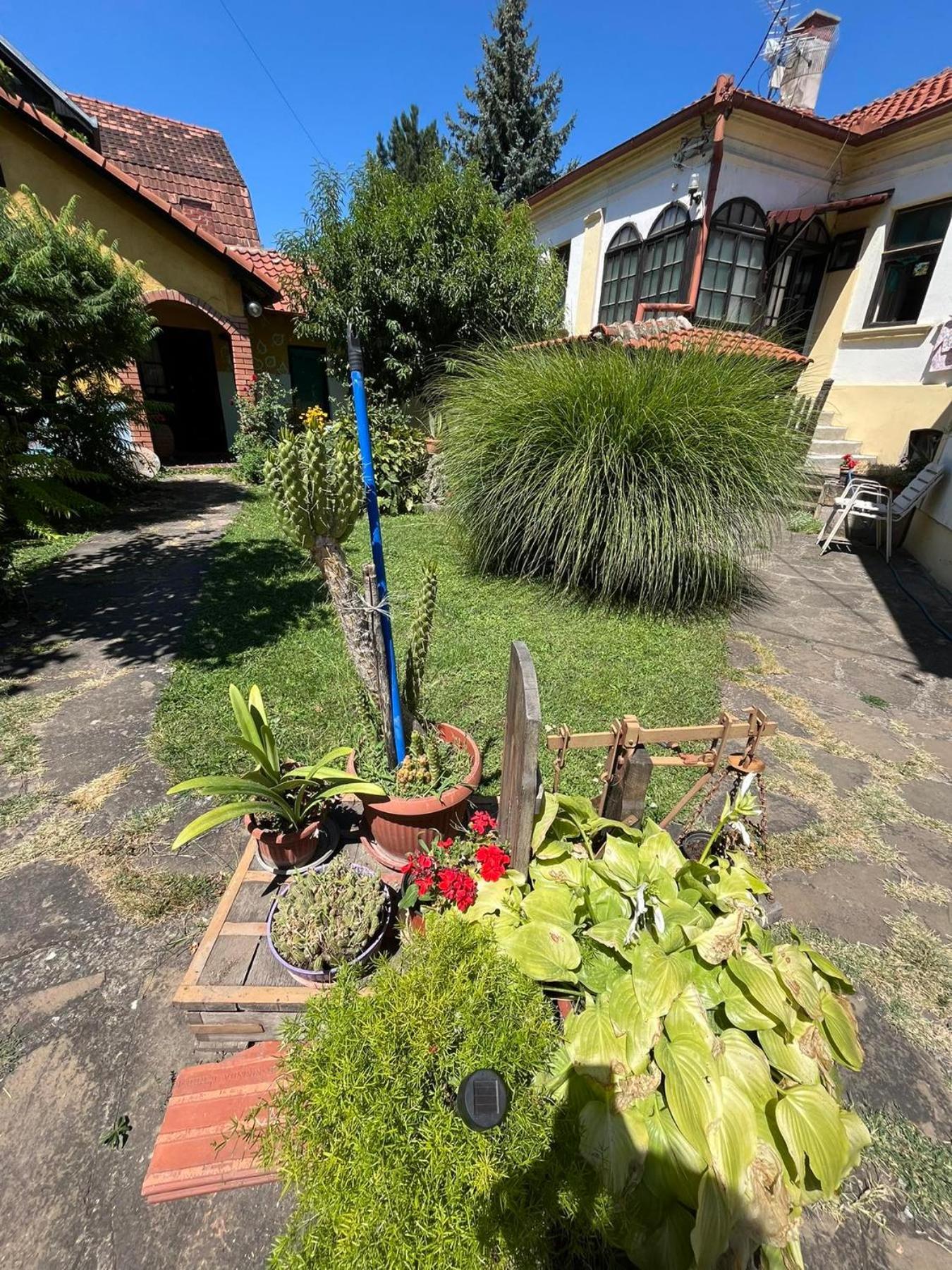 Garickina Kuca Apartment Pirot Luaran gambar