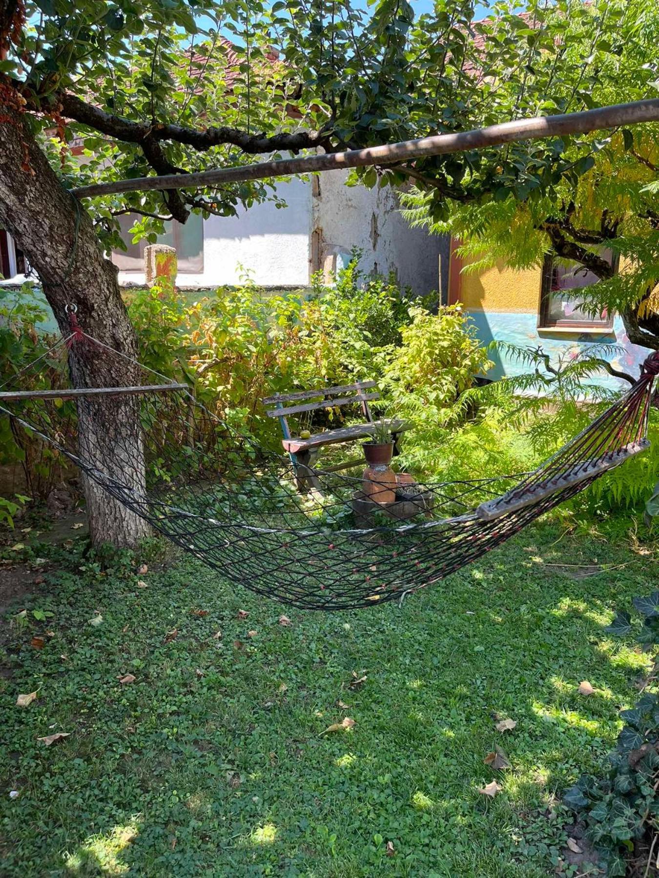 Garickina Kuca Apartment Pirot Luaran gambar